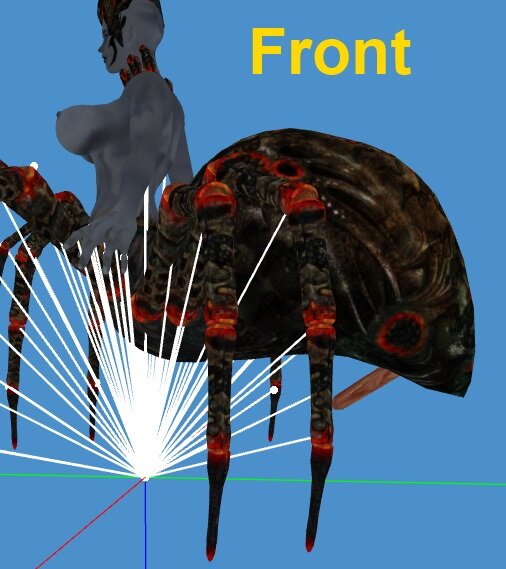 position front.jpg