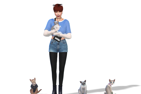 1456329399_Lynx-Household-591x394.png.48bb6feb81a1efaea809d13a8fb54ab2.png