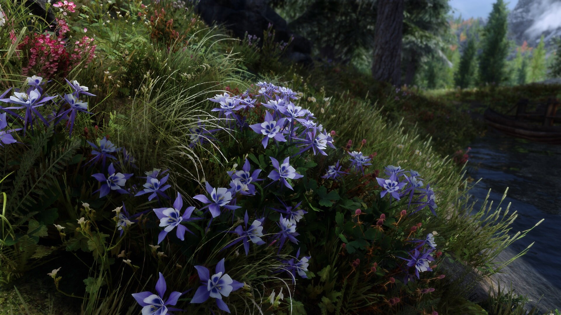 1652065614_MountainFlowers.jpg.35692f95be114ca0af751cfb0daaab3c.jpg