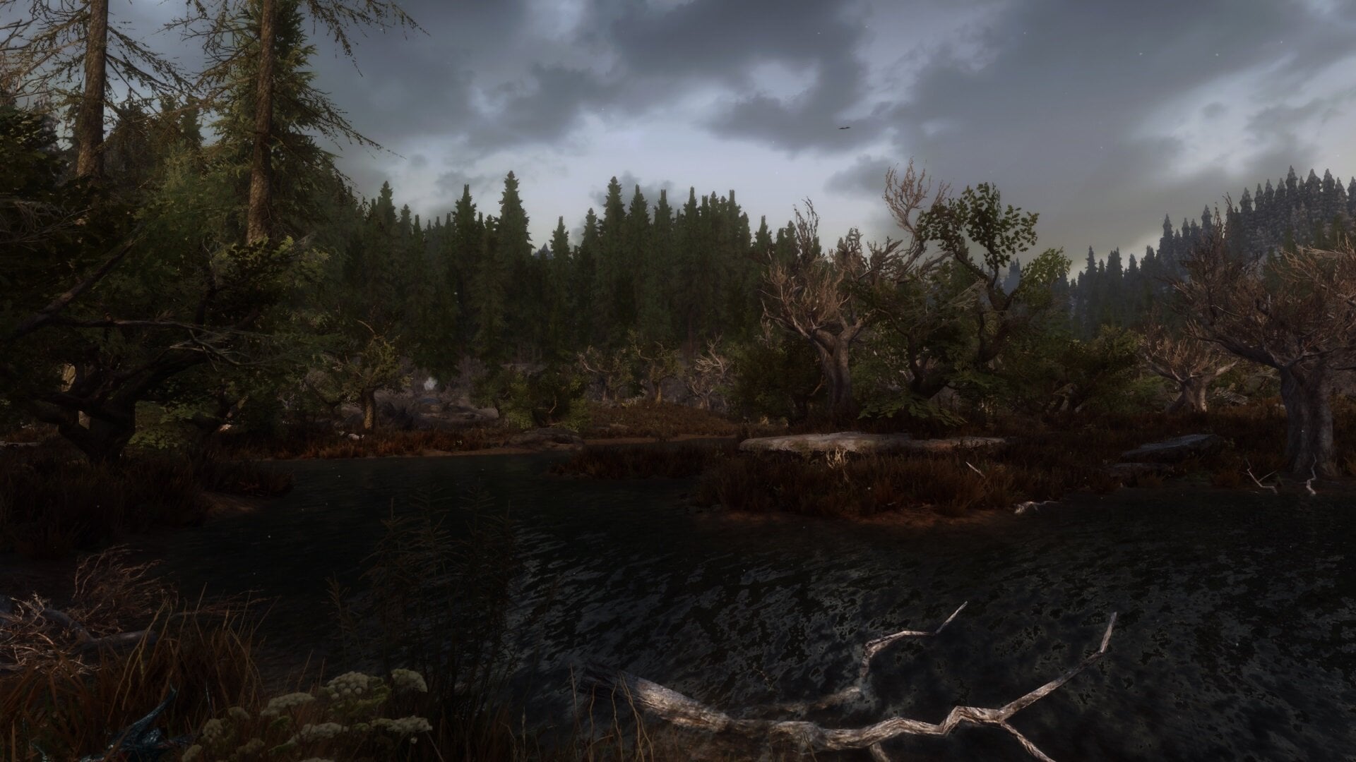 1778878923_Swamp04.jpg.2f642e9b446244da2b945f370123f1ee.jpg