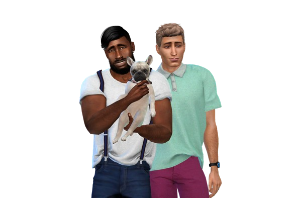 25484991_Hecking-Household-591x394.png.3cf5ab778af26a657f9a5f16482e2836.png