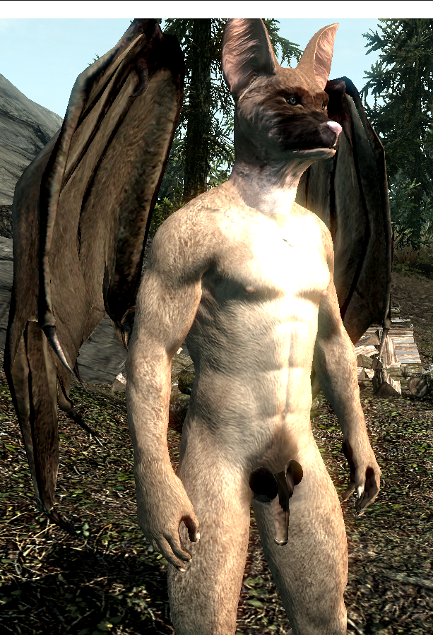 Skyrim 10_30_2020 6_32_10 PM.png