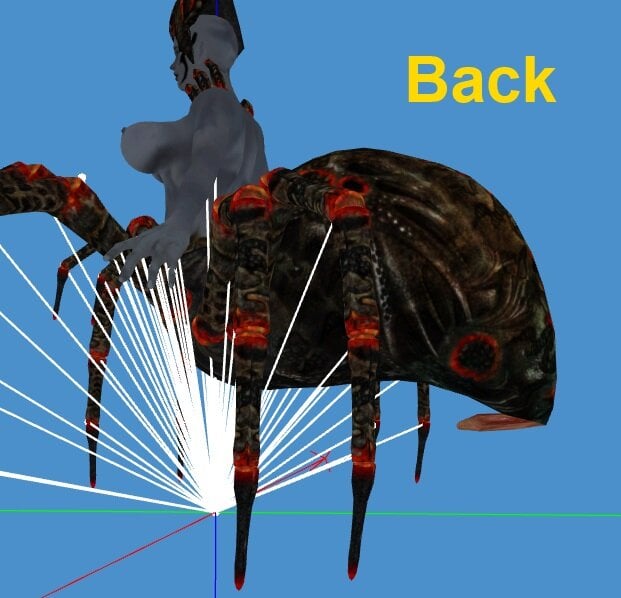 position back.jpg