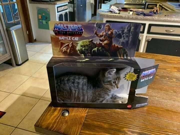 Battlecat.jpg.1010adfd2be22aca043b9de41d57bec6.jpg