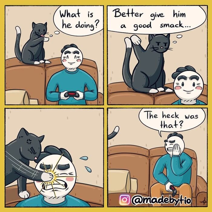 Catsmack.jpg.59c31011d1546f94eaf4914e15a96e5a.jpg