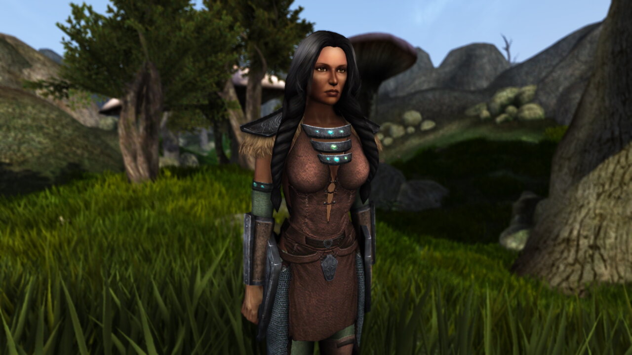 Morrowind.jpg.c4294f40f080e258e93ab1ddff77dbc1.jpg