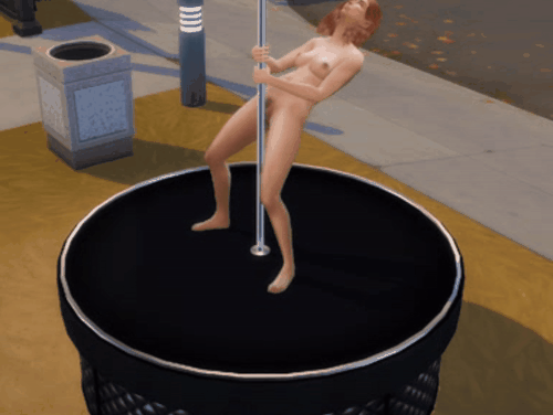 PoleDance_1.gif.49757a20d428f06adb9968a8ecb8541c.gif