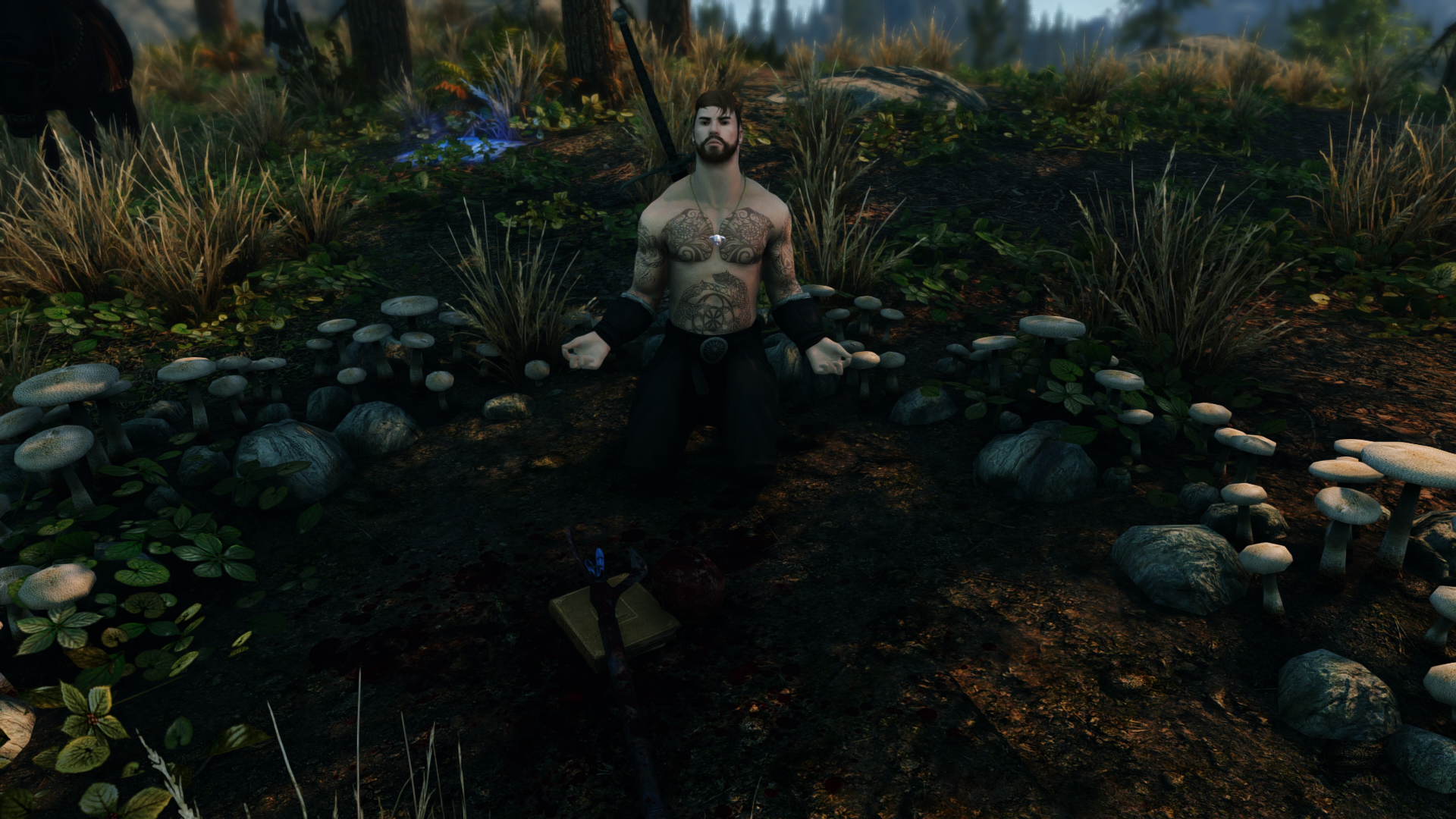 Skyrim4512.png.e6af374b85eda02dc7fb52acb380e010.png