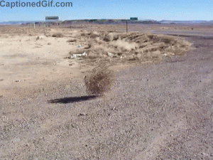 bored.gif