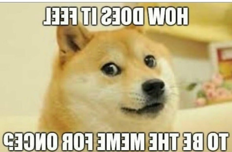 pvo4655986u31.jpg.82a235d5134499cdee29fa0d5cd267c4.jpg