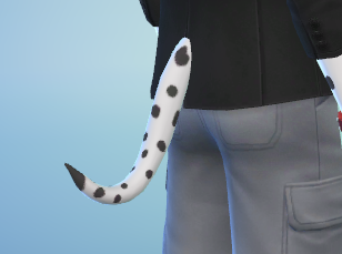 tail.png.3e323a634c2afa2bea2d4186f638ae2c.png