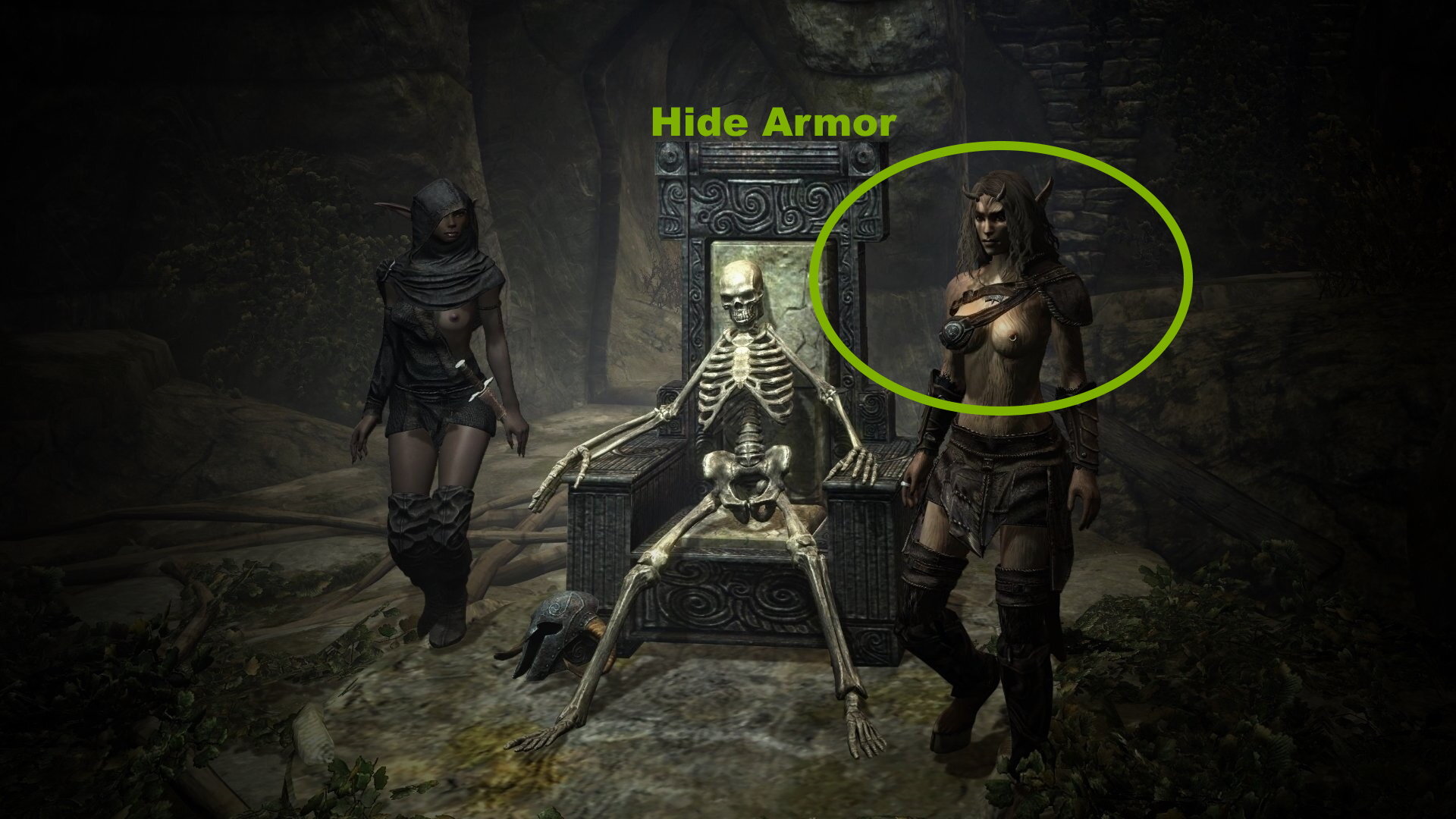 1113316151_HideArmor.jpg.8ec4afa09fbea8b669afaf5d872feda0.jpg