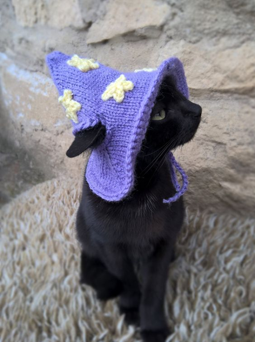 EtsyCatCostume.png.847bf47b90d18a82dcfb643741fe585e.png