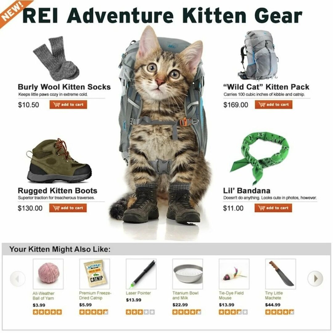 KittenGear.thumb.jpg.8da6e73203a424e4706afe403e4e4d9b.jpg