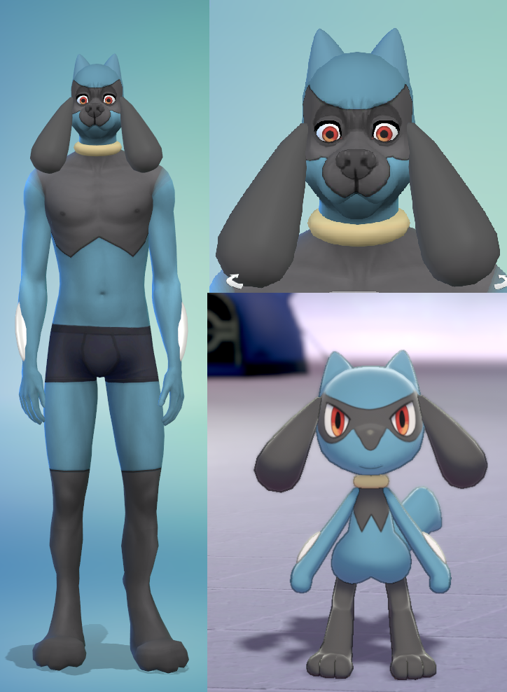 PokemonComp1.png.e496d3d4791d89580c8c618705f661ba.png