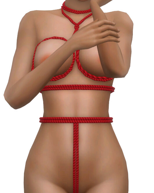 RopeDetails.jpg.c51377e7ff8670ae6e6aead21ae9fa66.jpg