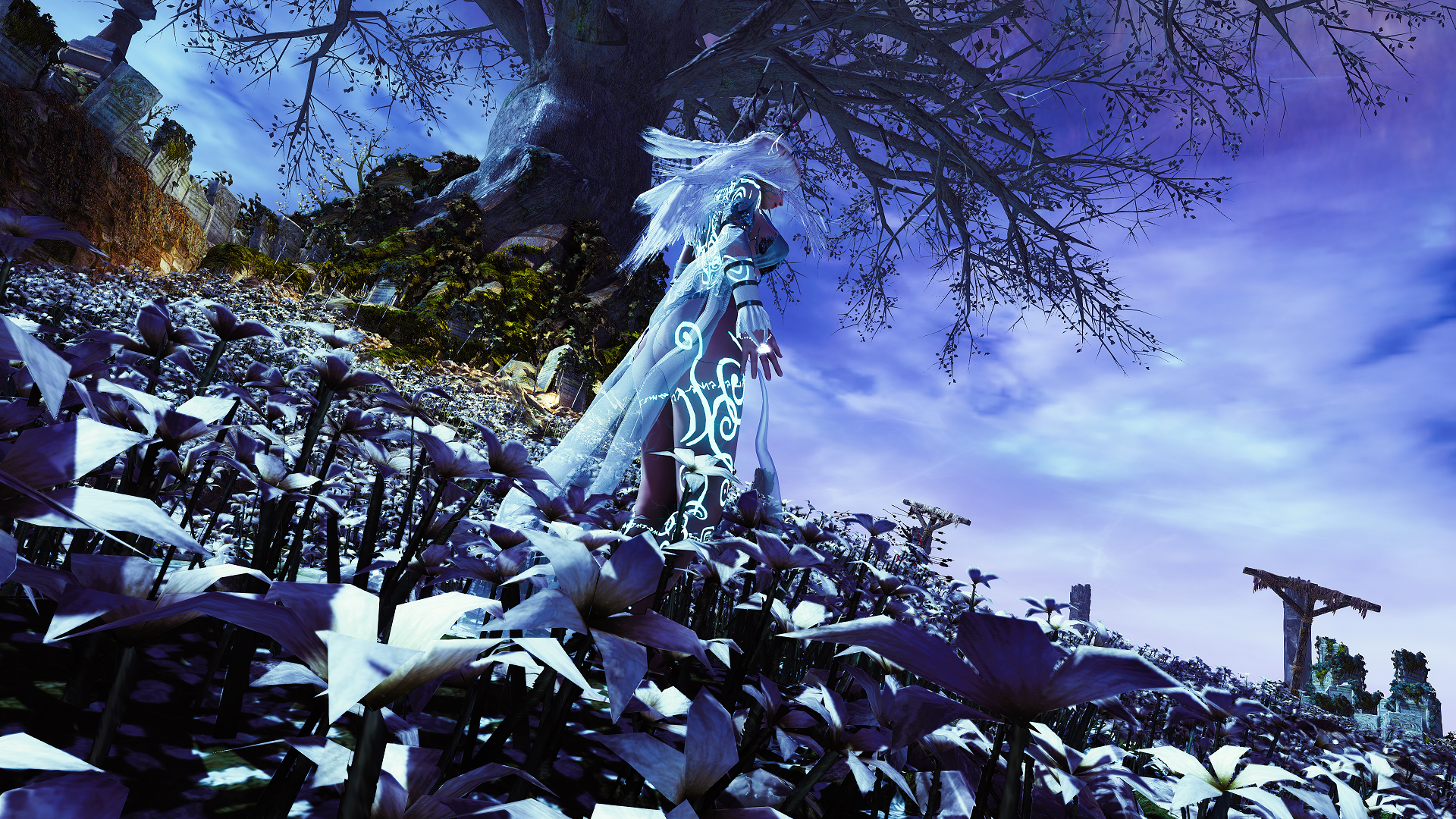 ScreenShot217281.png.57d149cf2cccba3eb67a2f06b942cee9.png