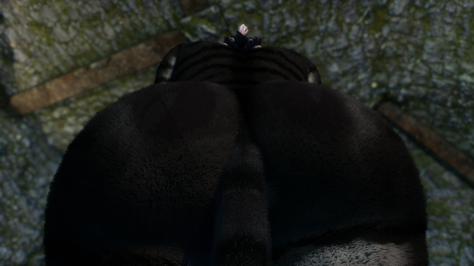 ScreenShot63.png