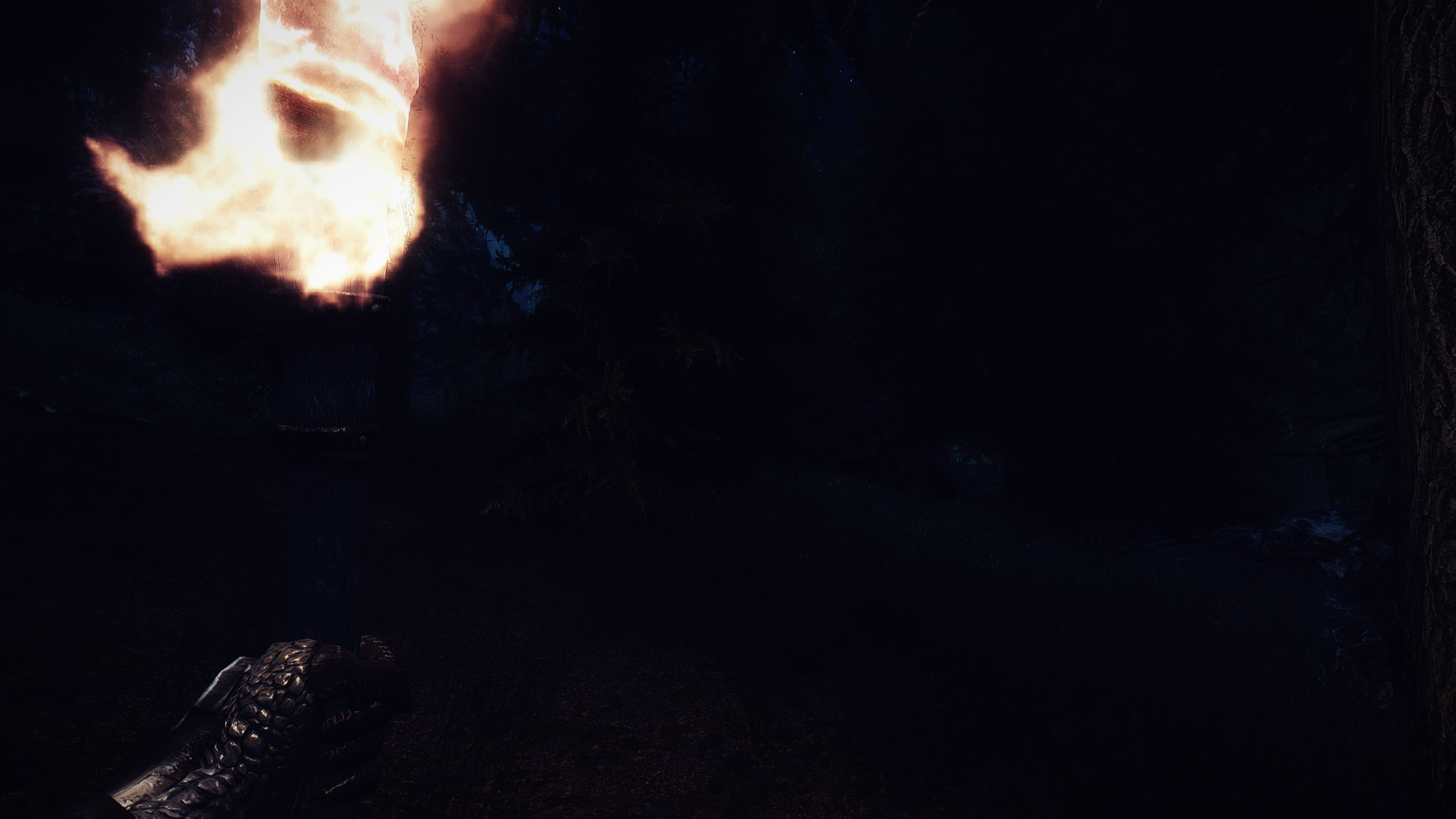 2001944095_ElderScrollsVSkyrimScreenshot2020_12.03-01_19_47_16.png.87a274d4d77de22cdf4d3e5c3298fb51.png