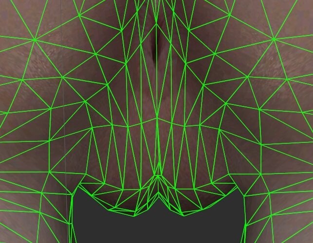 426750173_Valley4.jpg.9daf7a95ca18a14b0e0a7c83b8bf1ab5.jpg