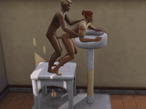 CatTree_n_1m.gif.295e26d803a5ba36d6440078893f0156.gif