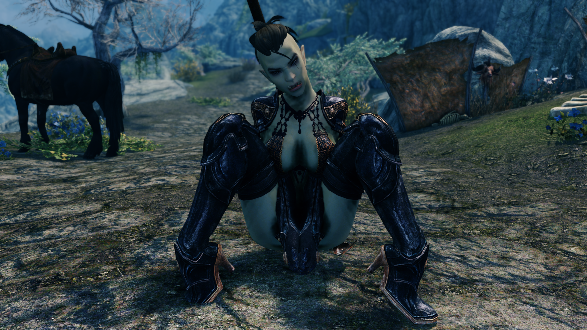 Skyrim5115.thumb.png.291c128fad7b0652f3925f0a8ea98e70.png