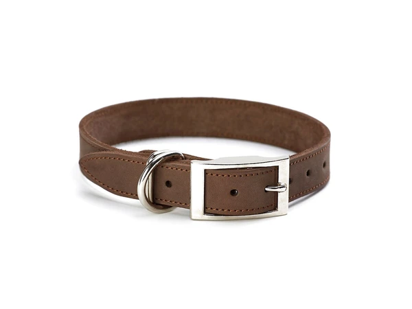 brown-leather-dog-collar-image_e2c778d0-4d2e-47fd-b230-5af8a5bb418e_grande.png.c6e2a21f7eac06233fab39504425b13e.png
