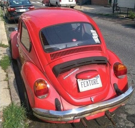 featurebug.jpg.72af330f2986309e9c6ad93dd11271f2.jpg