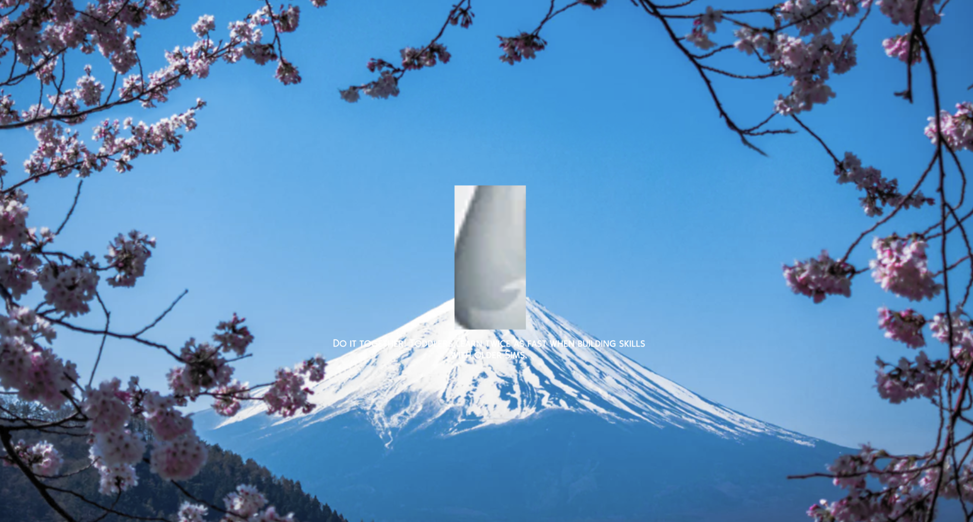 grafik.thumb.png.455b82a9b36efc2562dca3b9ecb0f71e.png