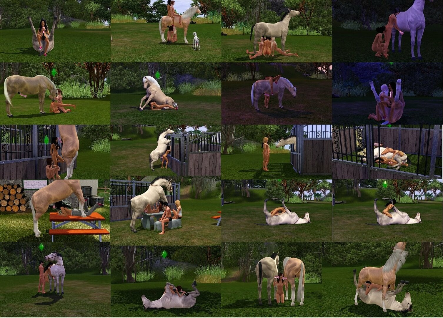 newHorse.jpg