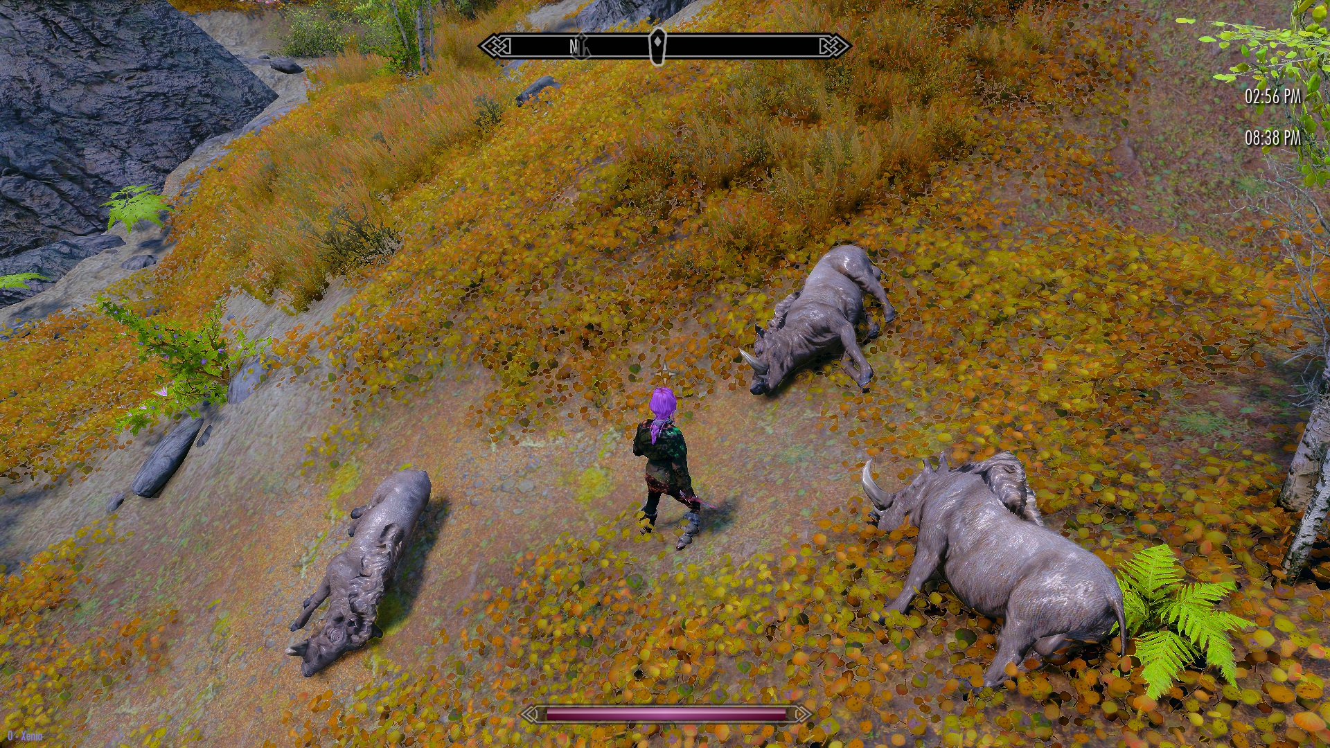 1699990215_ThreePigs.jpg.474f599885ae8cd91e24a881f81e51cd.jpg