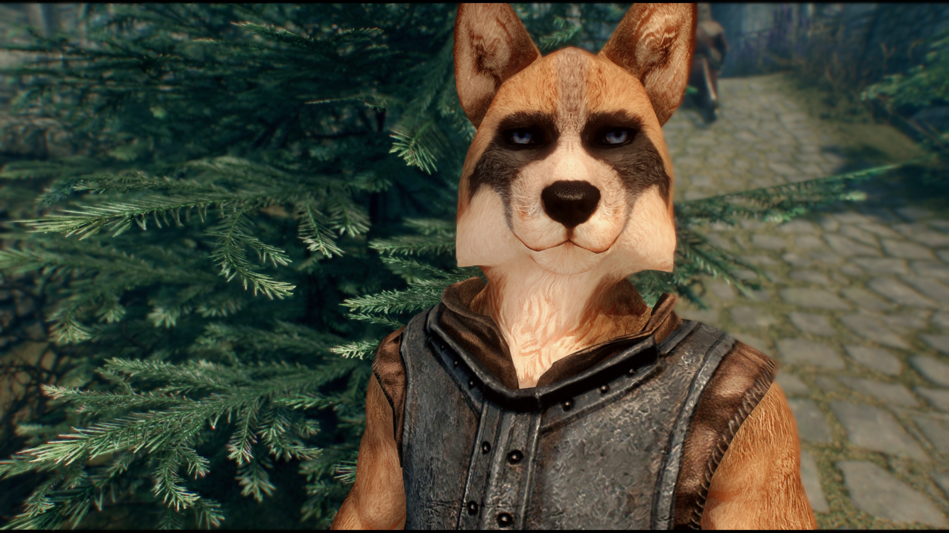 Skyrim Special Edition 12_30_2020 11_38_46 PM.png