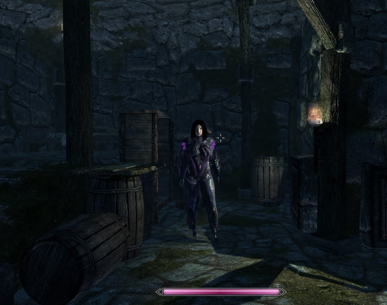 820920680_Chaurusbodyarmorzoomedout.jpg.45d5f7b2b585aa83079d2761880e3559.jpg