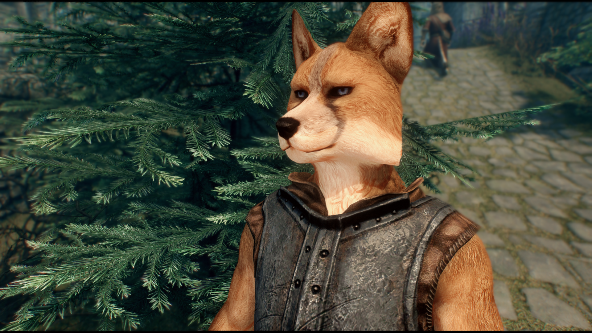 Skyrim Special Edition 12_30_2020 11_44_52 PM.png