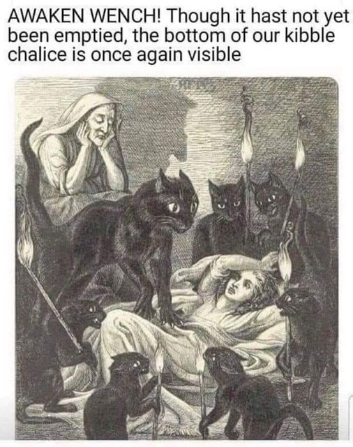 KibbleChalice.jpg.e5b022c20a950e100e1c8dd10e9cf608.jpg
