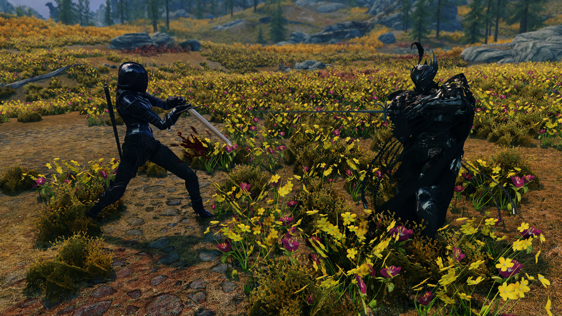 Skyrim5403.thumb.png.a73d8972f413dd28f8c26c5db373aaaa.png