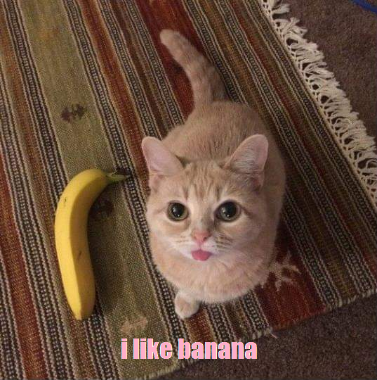 banana.png.b614ae2cf893342e5ca8ca42519cd878.png