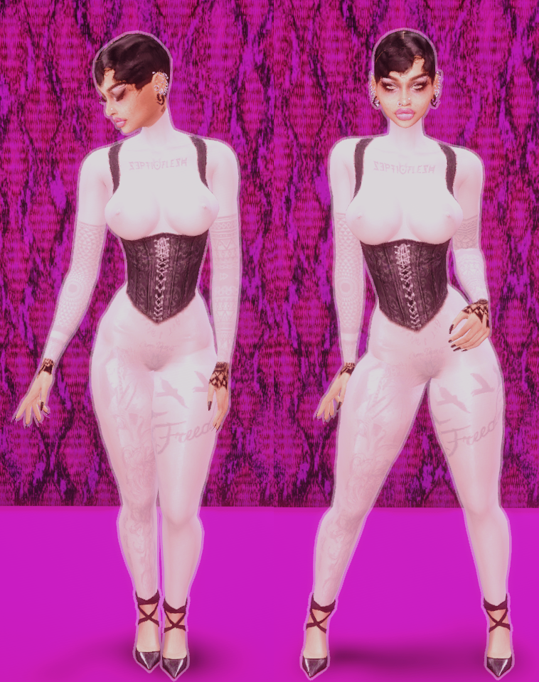 editedcorset.png.aca250e088df2cd4279aea0fc7006471.png