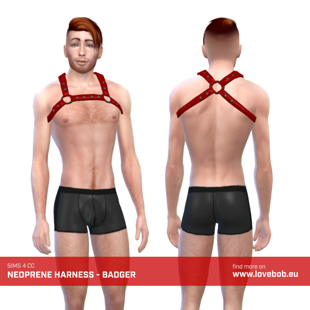 neoprene_m_harness_badger.jpg.39a43016a44a65dc14a2928ea5c7391f.jpg
