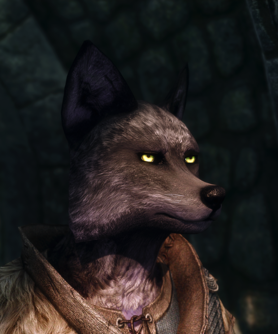 Skyrim Special Edition 1_29_2021 1_43_54 PM (2).png