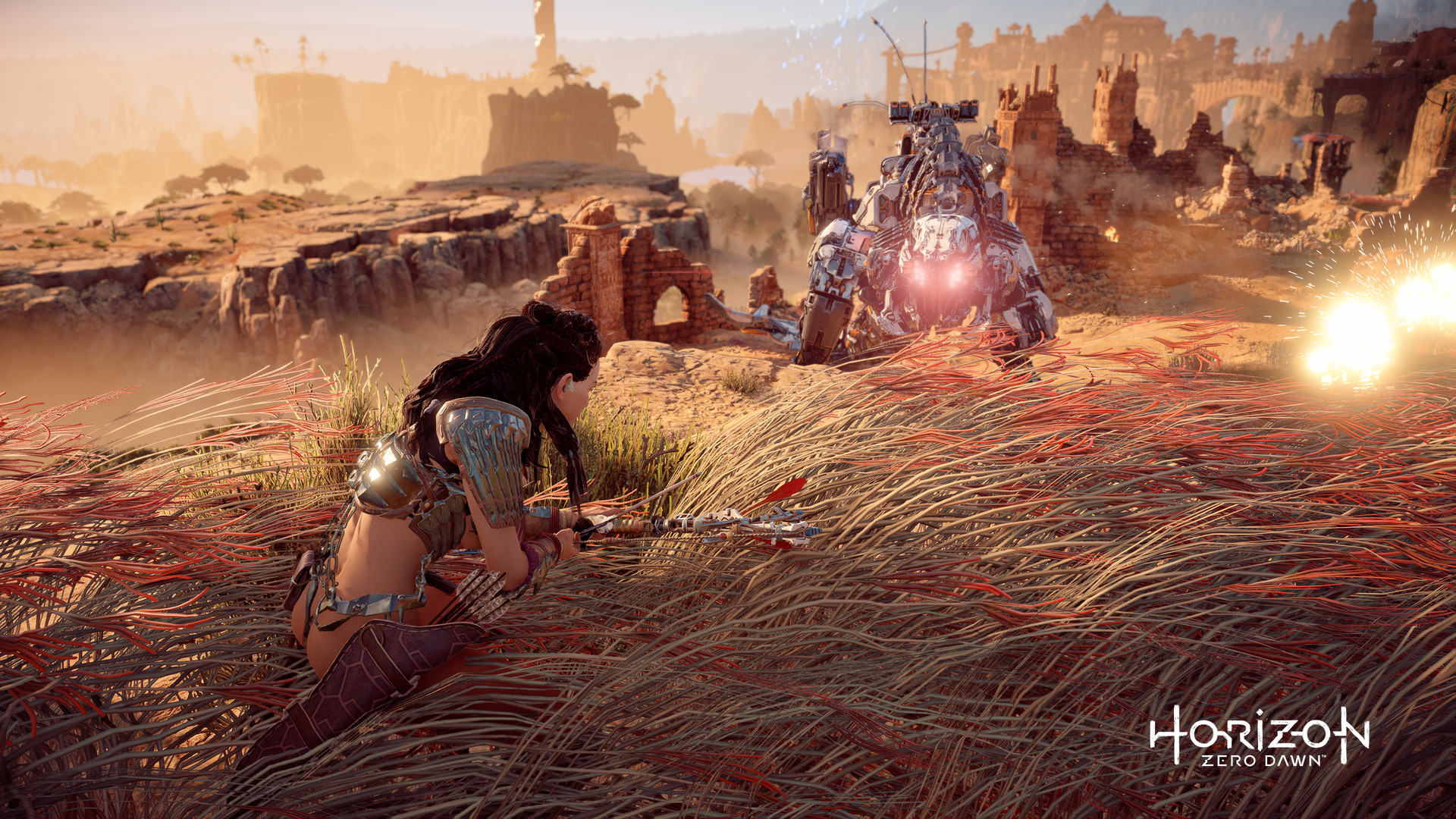 Horizon Zero Dawn_Mon_Feb_15_00-39-31_2021.png