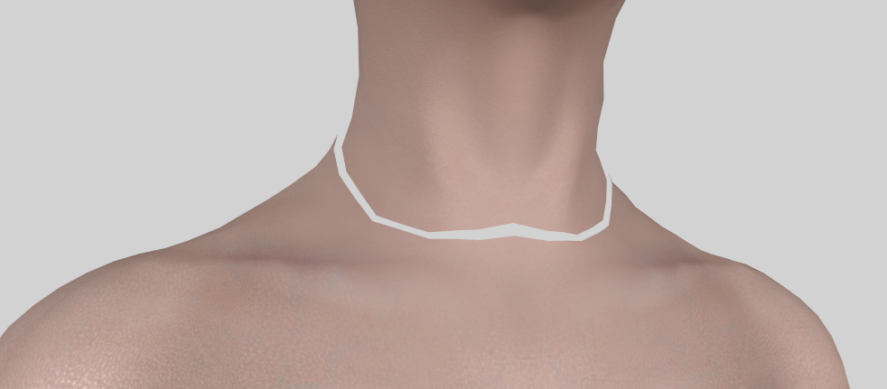 863741950_neckseam.png.c4ce127750e3e43ce316fca0f600a71b.png