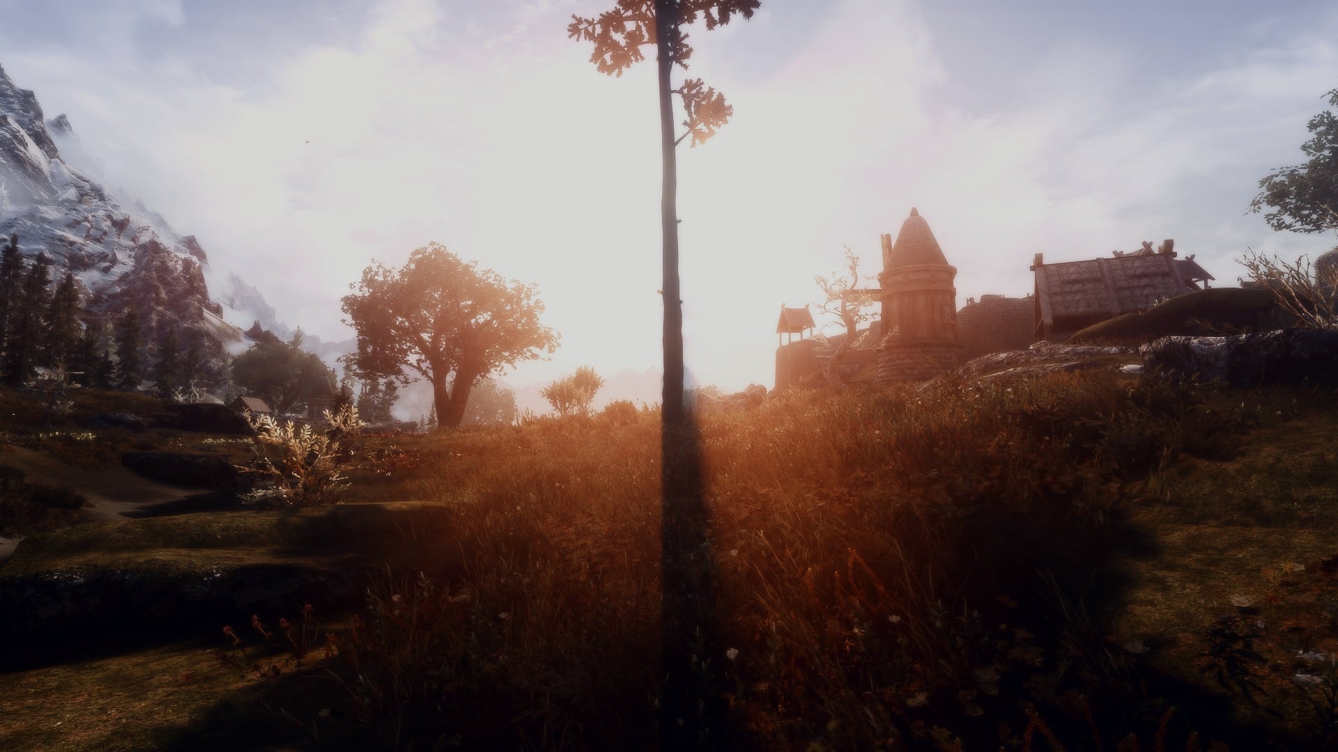 Plains.jpg.a469b7210873b72b8d313a260e377e07.jpg