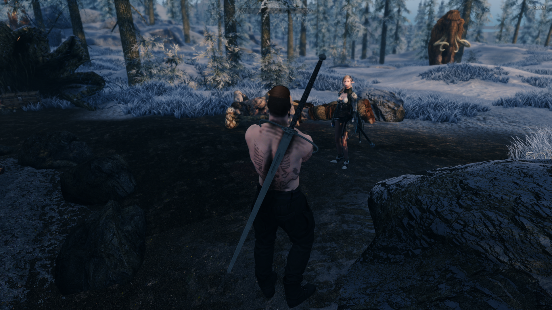 Skyrim5699.thumb.png.8292cb660f4f175d2fd28b63445f6cc1.png