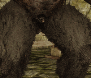 wwschlong.gif.b62b77340b9363a542b5c1dbc8745c0c.gif