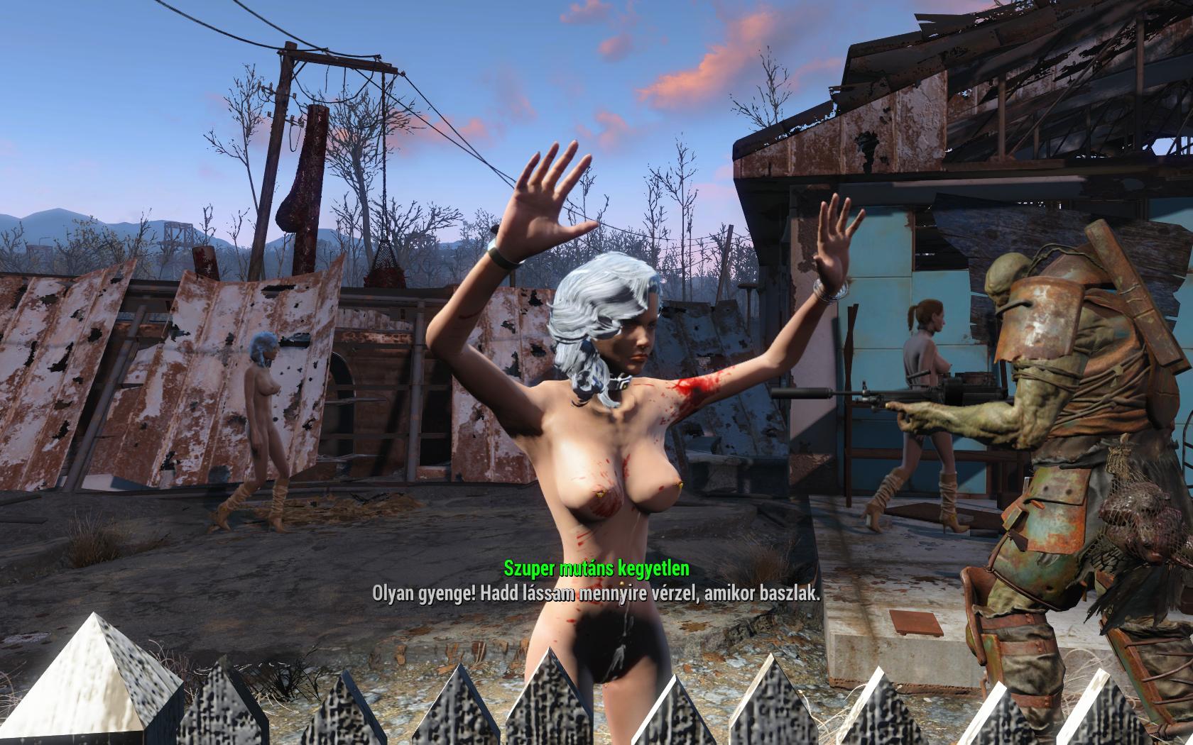 1004628949_Fallout42021-03-2011-02-43-30.jpg.472bc36db441f748a89b1199776fa14f.jpg