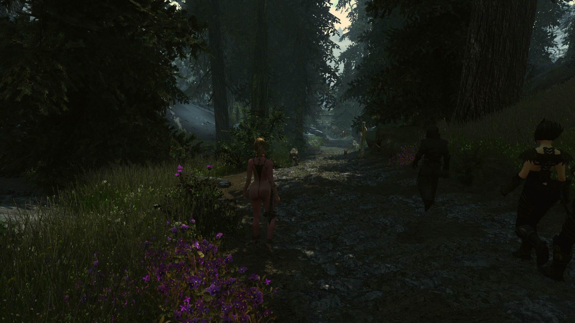 1187404591_enb2021_03_1400_57_36_68-arriving-Helgen-Thalmor-on-the-road.thumb.jpg.e3ee0ed8e091e0574931c2db8cd12539.jpg