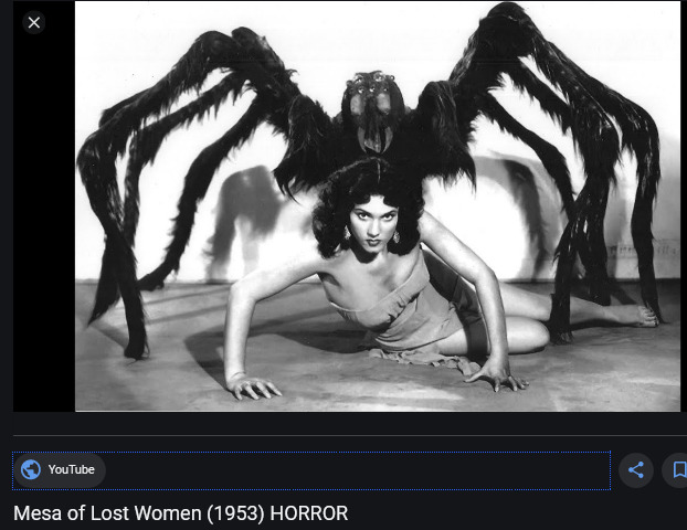 1247508506_210326LostWomen.jpg.74d69109263e04fbd328f543823d77c8.jpg