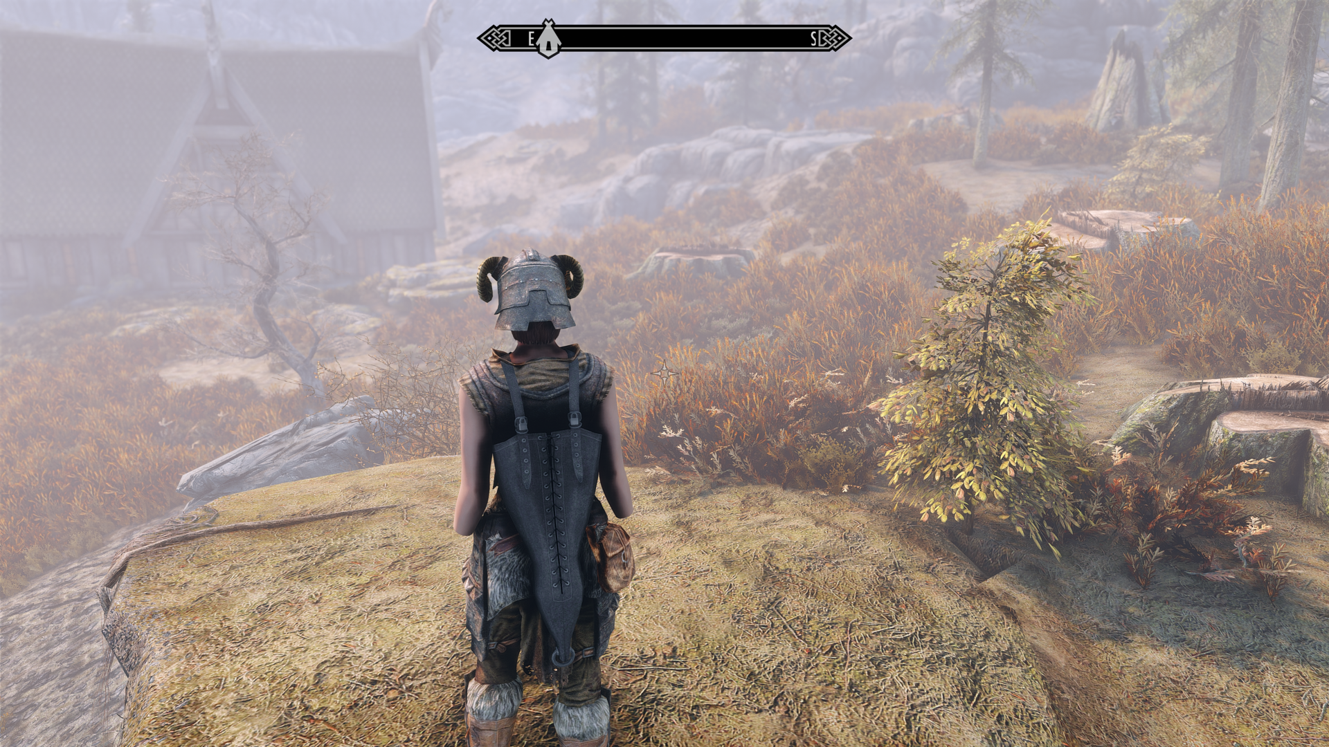 SkyrimSE 2021-03-21 20-20-49.png