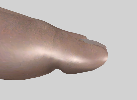 1420399035_RPFeet.png.f8a2fa44c206549b5bc46eb0b6b34bc9.png